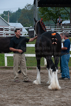 ACF_2012_SCL3209