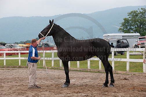 ACF_2012_SCL3425