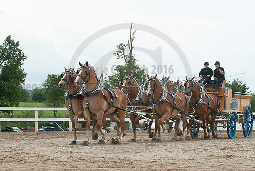 ACF_2012TDM_2554