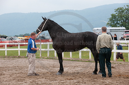 ACF_2012_SCL3427