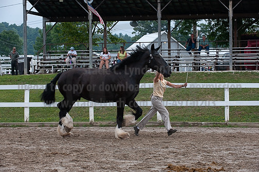ACF_2012_SCL3446