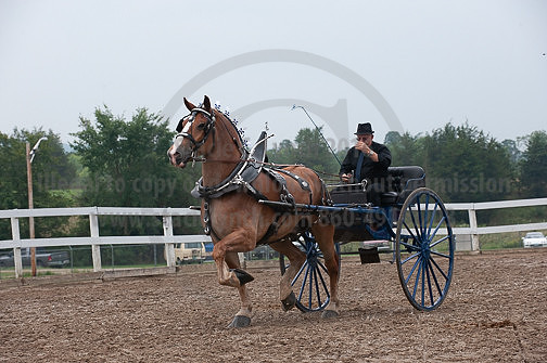 ACF_2012_SCL3857