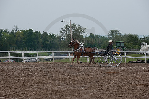 ACF_2012_SCL3510