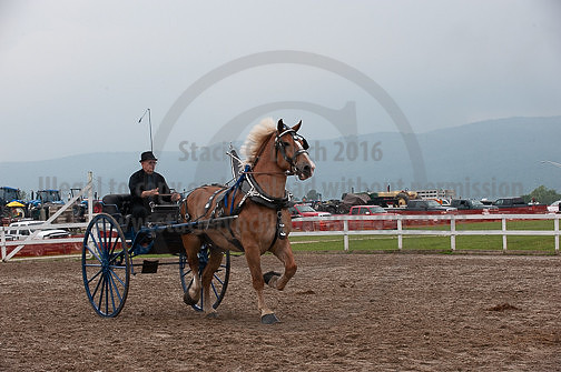 ACF_2012_SCL3844