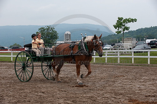 ACF_2012_SCL3664