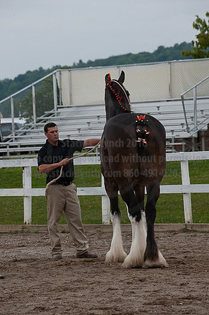 ACF_2012_SCL3338