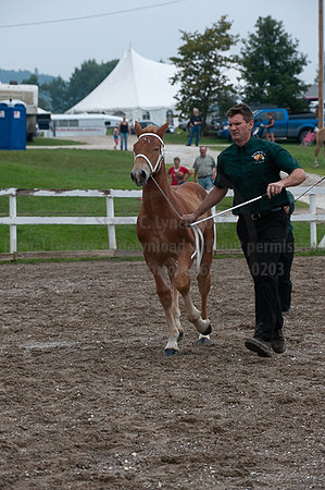 ACF_2012_SCL3239