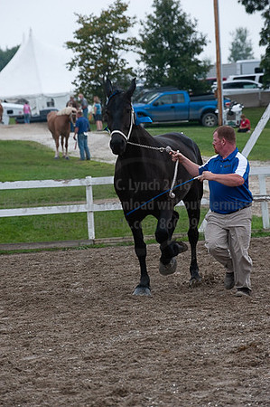 ACF_2012_SCL3458