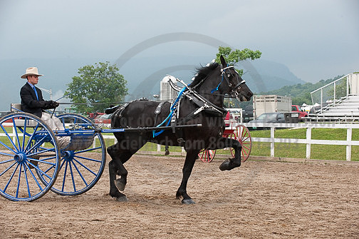 ACF_2012_SCL3881