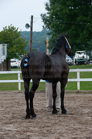 ACF_2012_SCL3289