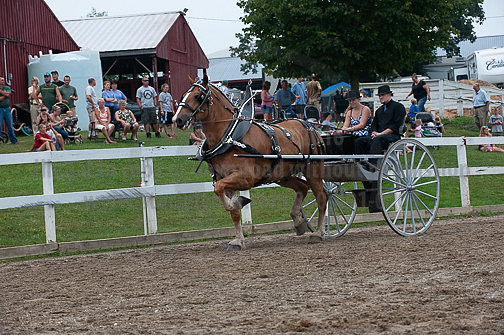 ACF_2012_SCL3652