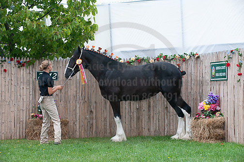ACF_2012_SCL3477