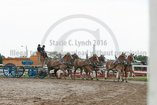 ACF_2012TDM_2557