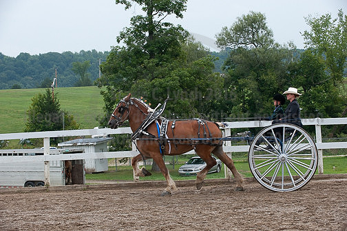 ACF_2012_SCL3638