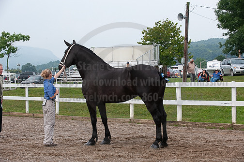 ACF_2012_SCL3151