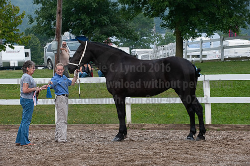 ACF_2012_SCL3161