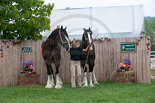 ACF_2012_SCL3495
