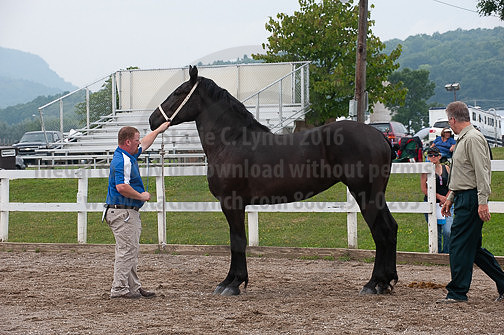 ACF_2012_SCL3176
