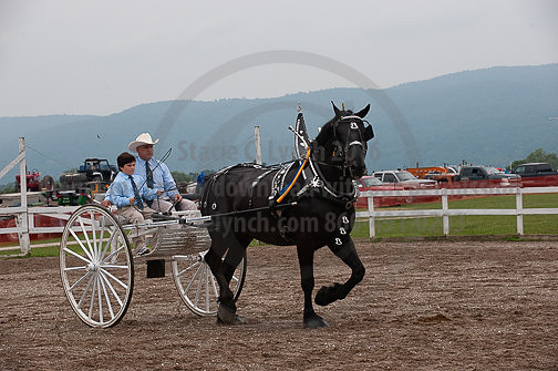 ACF_2012_SCL3661