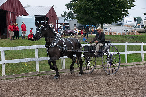 ACF_2012_SCL3865