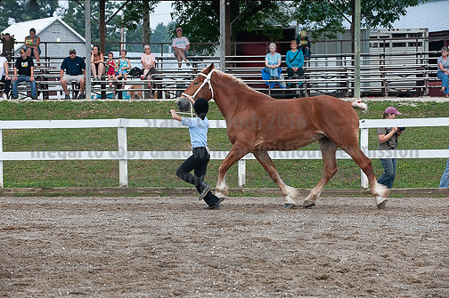 ACF_2012_SCL3141