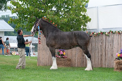 ACF_2012_SCL3481