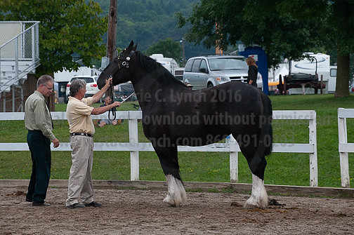 ACF_2012_SCL3444
