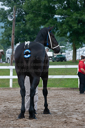 ACF_2012_SCL3138