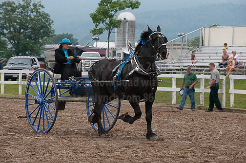 ACF_2012_SCL3627