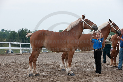 ACF_2012_SCL3317