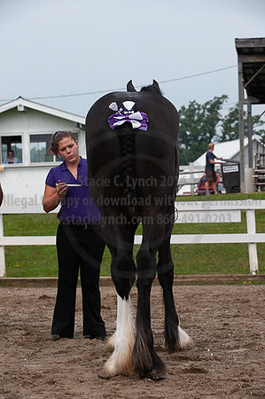 ACF_2012_SCL3214