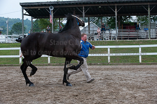 ACF_2012_SCL3180