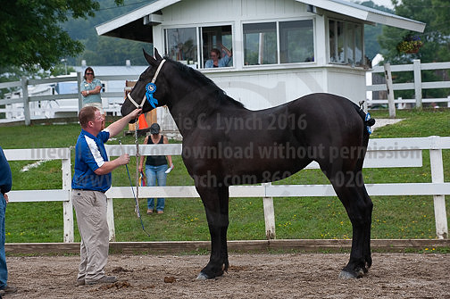 ACF_2012_SCL3290