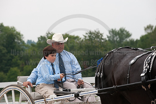 ACF_2012_SCL3668