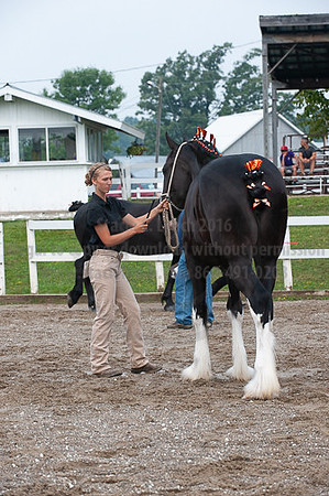 ACF_2012_SCL3139