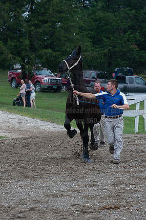 ACF_2012_SCL3187