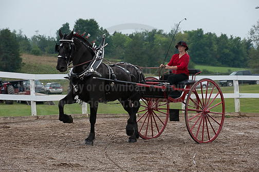 ACF_2012_SCL3544