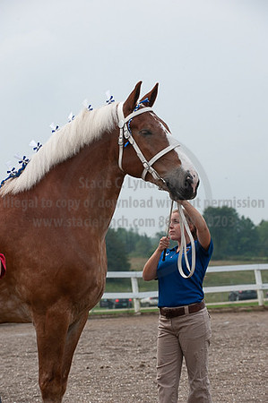 ACF_2012_SCL3153