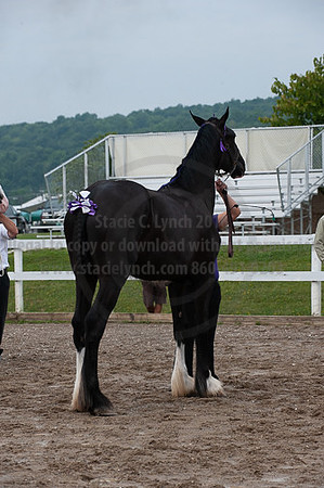 ACF_2012_SCL3218