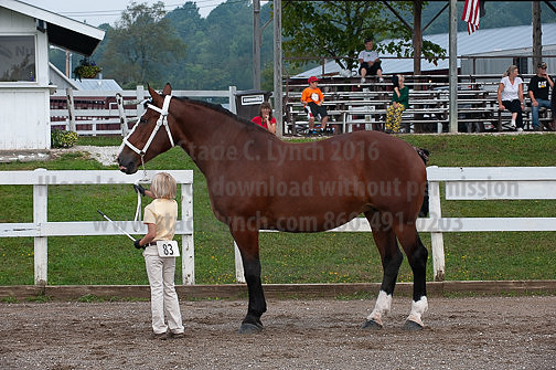 ACF_2012_SCL3093