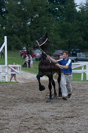 ACF_2012_SCL3188