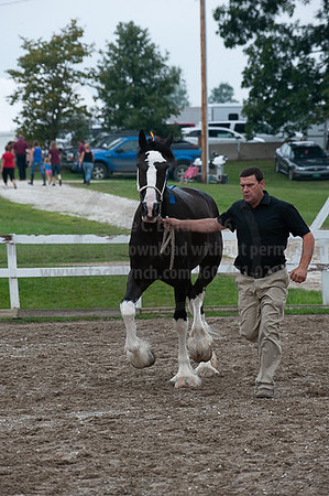 ACF_2012_SCL3279