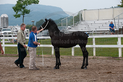 ACF_2012_SCL3265