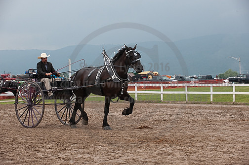 ACF_2012_SCL3883