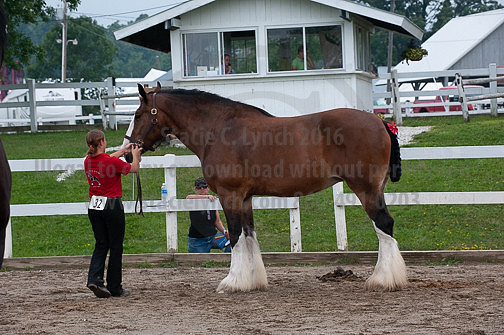 ACF_2012_SCL3452