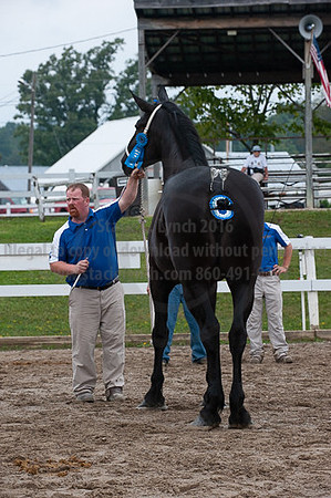 ACF_2012_SCL3461