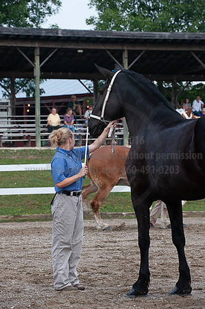 ACF_2012_SCL3133