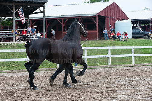 ACF_2012_SCL3439
