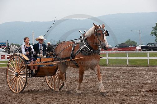 ACF_2012_SCL3722