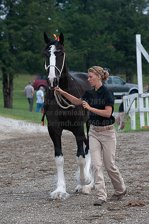 ACF_2012_SCL3121
